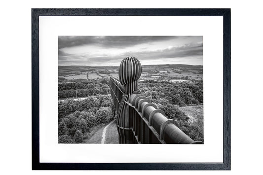 Drone Head Landscape