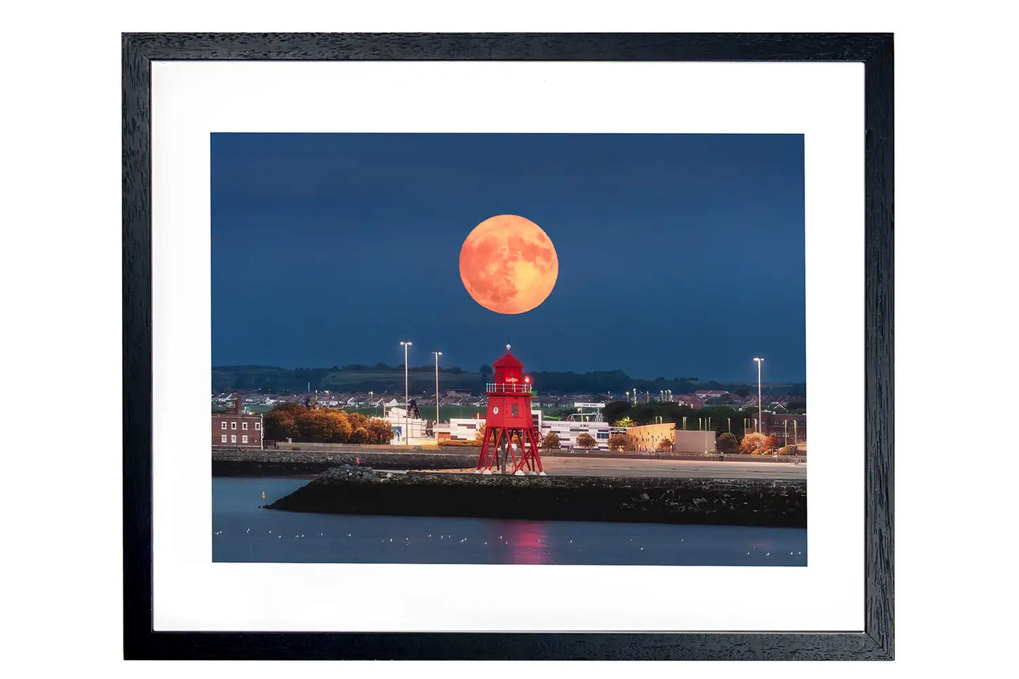 Herd Groyne Strawberry Moon