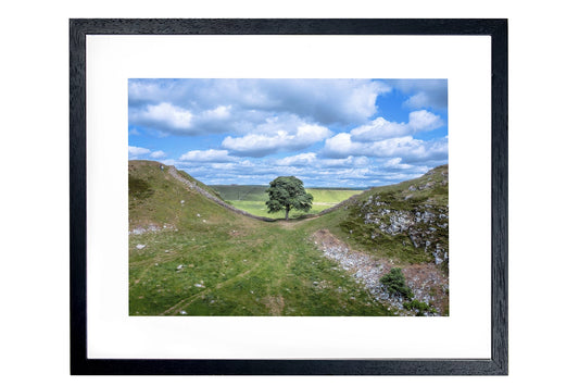Sycamore Gap