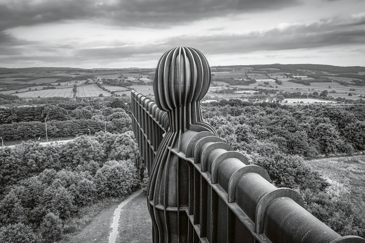Drone Head Landscape