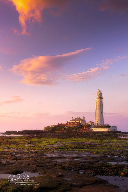 St Mary's Low Tide Portrait