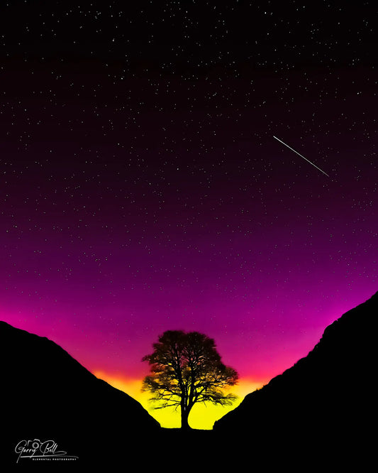 Sycamore Gap Comet