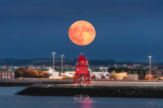 Herd Groyne Strawberry Moon