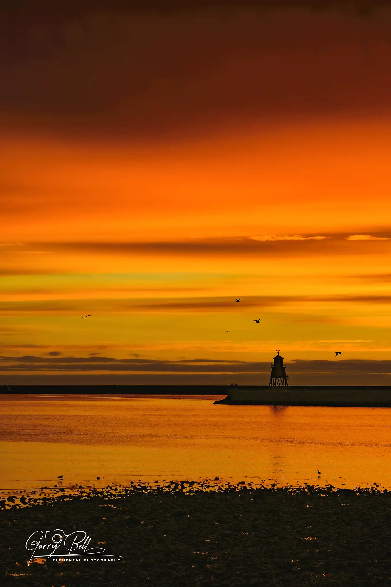 Herd Groyne Sunrise