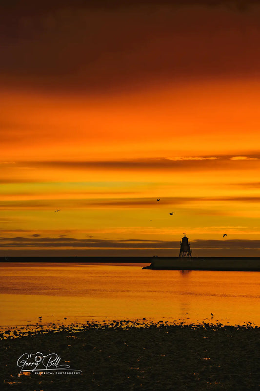 Herd Groyne Sunrise