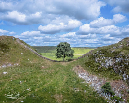 Sycamore Gap