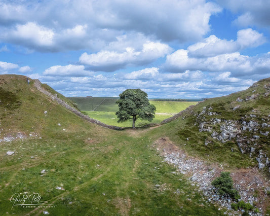 Sycamore Gap